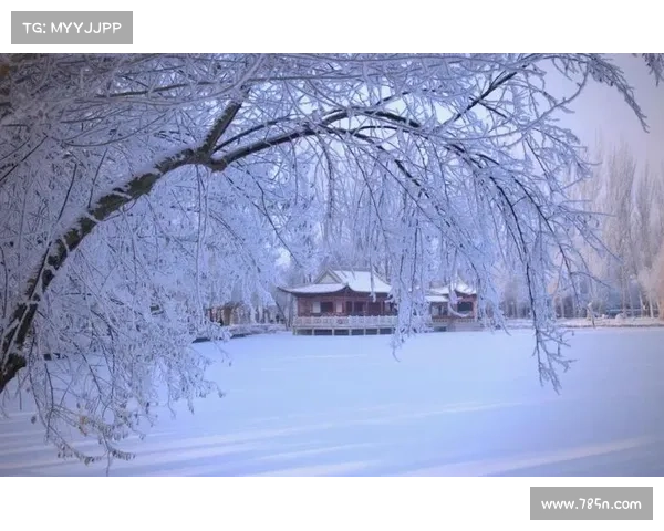 冬日湖畔的诗意之旅在宁静与寒冷中触摸心灵的温暖与自然的灵感 冬日湖畔的诗意之旅在宁静与寒冷中触摸心灵的温暖与自然的灵感