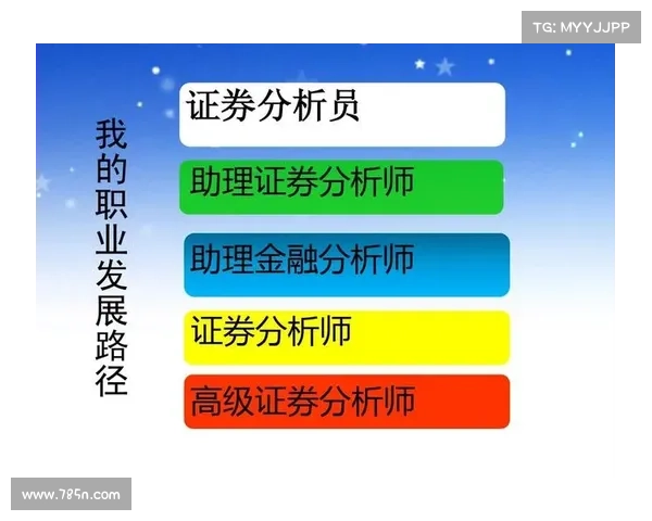 提升职场竞争力的工程师技能加点攻略与成长路径分析